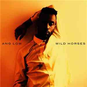 Ang Low - Wild Horses download flac mp3