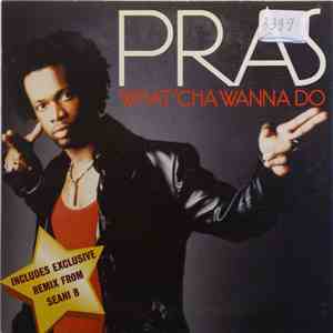Pras - What'cha Wanna Do download flac mp3