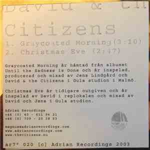 David & the Citizens - Graycoated Morning download flac mp3