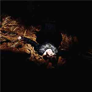 Emily Jane White - Victorian America download flac mp3