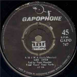Gee Dees - Amina download flac mp3