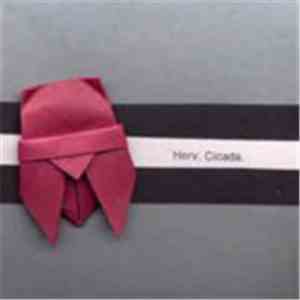 Herv - Cicada download flac mp3
