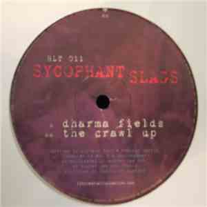 Sycophant Slags - Dharma Fields / The Crawl Up download flac mp3