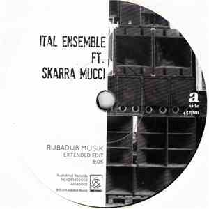 The Ital Ensemble Ft. Skarra Mucci - Rubadub Musik download flac mp3