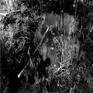 Dominik Minski - BA download flac mp3