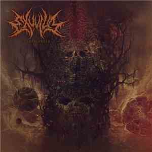 Exuvium - Subarachnoid download flac mp3
