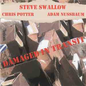 Steve Swallow - Damaged In Transit download flac mp3