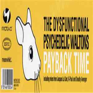 The Dysfunctional Psychedelic Waltons - Payback Time download flac mp3