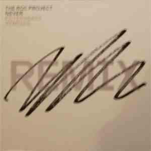 The Roc Project - Never (Filterheadz Remixes) download flac mp3