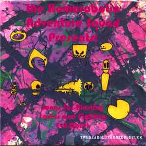 Twodeadsluts Onegoodfuck - The Homorobotic Adventure Squad Presents: Songs For Blasting Lasers And Fighting Evil-Doers download flac mp3