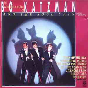 Bo Katzman And The Soul Cats - The Wonderful World Of The Soul Cats download flac mp3