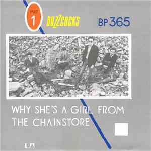 Buzzcocks - Are Everything / Why She's A Girl From The Chainstore download flac mp3