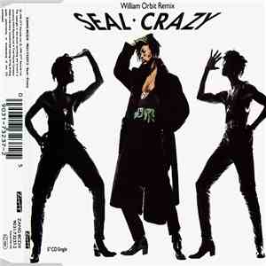 Seal - Crazy (William Orbit Remix) download flac mp3