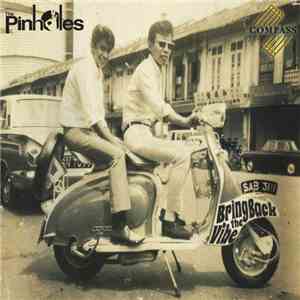 The Pinholes - Bring Back The Vibe download flac mp3