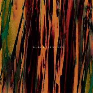 Black Jesuses - Black Jesuses download flac mp3