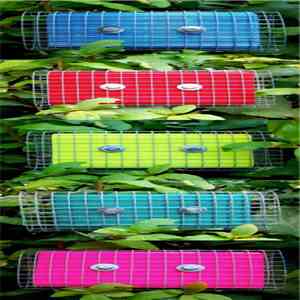 Ku  - Ping Pong Show download flac mp3