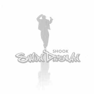 Shawn Desman - Shook download flac mp3