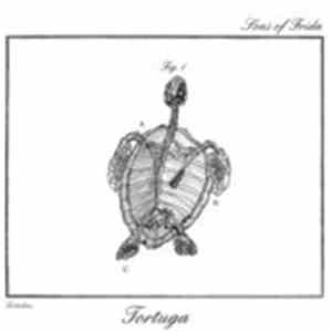 Sons Of Frida - Tortuga download flac mp3