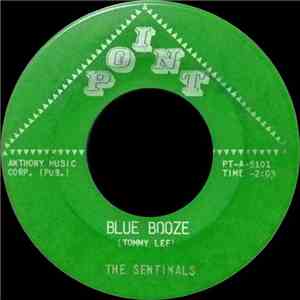 The Sentinals - Blue Booze download flac mp3
