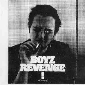 Various - Boyz Revenge! (A Response To The Toxic Girls!) download flac mp3