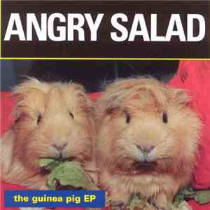 Angry Salad - The Guinea Pig EP download flac mp3