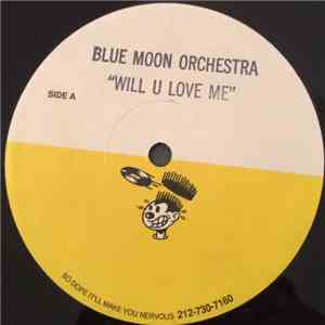 Blue Moon Orchestra - Will U Love Me download flac mp3