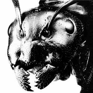 Cubanate - Live Brutalism download flac mp3