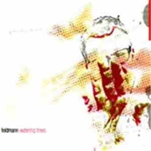 Feldmann  - Watering Trees download flac mp3