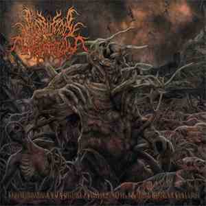 Postcoital Ulceration - Continuation Of Defective Existence After Multiple Ruinous Collapses download flac mp3