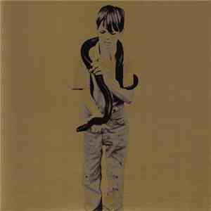 Primal Scream - Riot City Blues download flac mp3