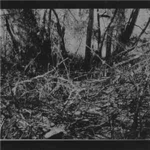 Bleak  - Reflections On Death download flac mp3