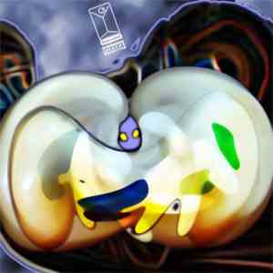 Bodycocktail - Overlapping Islands Revolving download flac mp3