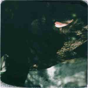 C. Lavender - Fortitude In Wintarmanoth download flac mp3