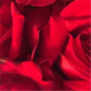 Cliff Targum - Beautiful Eyes download flac mp3
