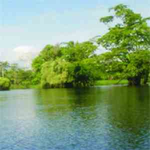 Thelmo Cristovam - Field Recordings # 04 download flac mp3