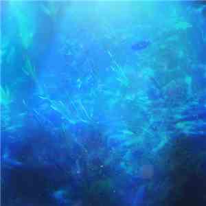 Memorygarden禅 - Districtアトランティス download flac mp3