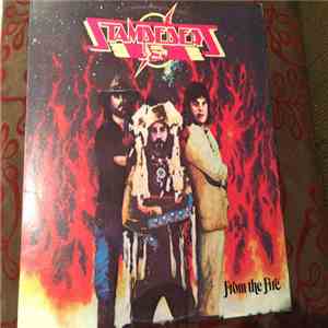 The Stampeders - From The Fire download flac mp3
