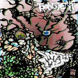 Transient - Moments In Slow Motion download flac mp3