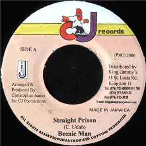 Beenie Man - Straight Prison download flac mp3