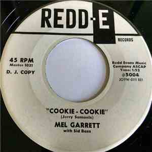 Mel Garrett - Forever Young Forever Beautiful download flac mp3