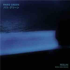 Paris Green  - Feelin' (Roni Size Remix) download flac mp3