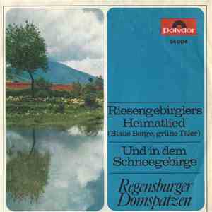 Regensburger Domspatzen - Riesengebirglers Heimatlied (Blaue Berge, Grüne Täler) / Und In Dem Schneegebirge download flac mp3