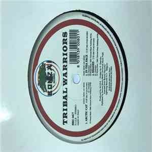 Tribal Warriors - Arctic Cat download flac mp3