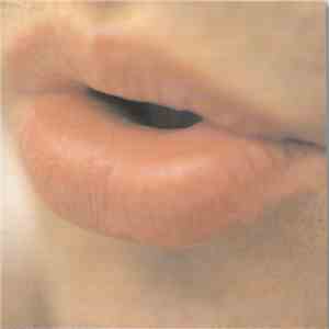 Fabio Fiocco - Feriti E Contenti download flac mp3