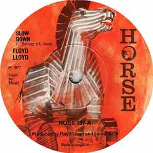 Floyd Lloyd - Slow Down download flac mp3