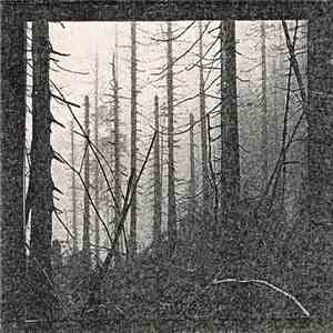 Forgotten Woods - Promo Adv'94 download flac mp3