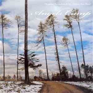 Honey For Petzi - Angels Camp download flac mp3