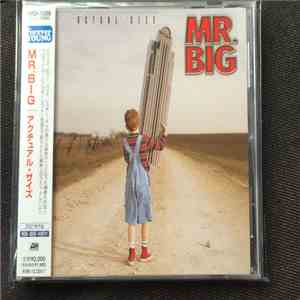 Mr. Big - Actual Size download flac mp3