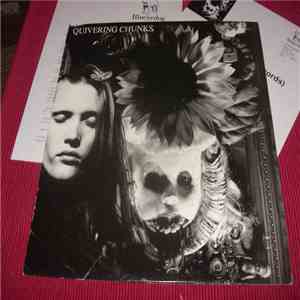 Quivering Chunks - Time Tunnel download flac mp3