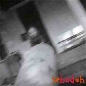 Sebadoh - Rocking The Forest download flac mp3